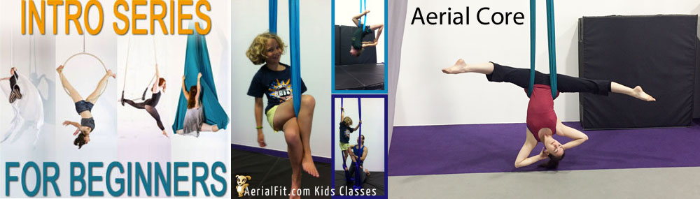 Aerial Fit Classes starting in January 2015